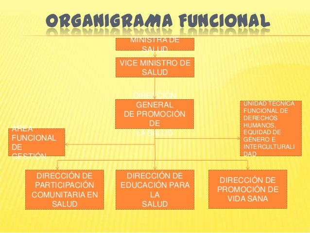 Organización y Funciones MINSA PERU