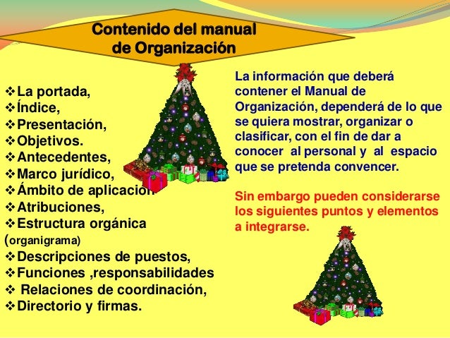 Manual de organizacion