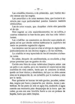 -- 77-
Las criadillas blancas, o de primavera, que huelen mu-
cho menos que las negras.
Las amarillas o de color moreno claro, que huelen' a al-
mizcle, por cuya particularidad pueden llamarse también
almizcleñas.
Las de color rosado, que despiden cierto olor parecido
al de ajo.
Este vegetal se cría espontáneamente; no se cultiva, y
cuantas tentativas se han hecho para ello han sido infruc-
tuosas.
Las criadillas no consienten en derredor suyo planta al-
guna; así es que donde existen tubérculos la superficie del
suelo no presenta vegetación alguna.
Las mejores son las que se crían al abrigo de algún árbol,
particularmente de las encinas negras y de los enebros.
La criadilla es muy apreciada de los aficionados a la bue-
na mesa.
Su sabor, después de condimentada, es excelente, y hay
pocas personas que no gusten de ella.
Cocida una libra de estos tubérculos (limpios antes con
un paño o uncepillo, pero sin lavarlos ni rasparlos) en dos
cuartillos de vino común, hasta que se consuma la mitad,
queda un licor tónico y afrodisíaco, del que no debe usarse
sino en la proporción de un cortadillo por la mañana y otro
por la tarde.
Para guisarlas se busc!n las más gordas, pesadas, redon-
das, negras por fuera y jaspeaiias por dentro, duras y aro-
máticas. Se las pone un rato en agua fría, mudando el agua
cuando sea necesario para despojarJas de la tierra que las
cubre, ya sea con una brochita fuerte o <;on un pedazo de
bayeta, hasta que estén limpias.
 