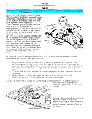 12                                 Fundamentos de la Permacultura

                                             AGUA


En las tierras áridas de grandes áreas de
México la disponibilidad de agua dulce para
consumo humano, la ganadería y el riego
de los cultivos es el factor más limitante
para lograr nuestros objetivos.
Todos sabemos que el agua es escencial
para la vida, su presencia y sus
características permitieron la evolución en
este planeta. Sin el agua no hay vida, es
nuestro recurso más precioso y debe
tratarse como tal.
El 97 % del agua de nuestro planeta está
en los océanos en forma de agua salada.
Del 3% de agua dulce que existe en el
planeta, casi toda está almacenada en los
mantos acuíferos profundos, en hielo y
nieve permanente, en los grandes lagos y
ríos; Menos del 1% de todo el agua dulce
se encuentra en la atmósfera y de esta
manera está disponible como agua de
lluvia.

La situación del agua afecta directamente el tipo de desarrollo que podemos realizar.
Depende de muchos factores, por ejemplo:

     => La precipitación pluvial por año, su distribución a través de las estaciones y la
        confianza que podemos tener en que ésta suceda; (preguntar en la comisión de
        agua las cifras de precipitación anual promedio en los últimos años en su bioregión)
     => Las características del suelo, composición, su drenaje y capacidad para retener el
        agua;
     => La cobertura del suelo (vegetación, materia orgánica/ arropes), animales (especies,
        densidad);
     => De las plantas y cultivos que queremos integrar y sus características sus
        requerimientos y el tipo de agricultura que queremos realizar

Aunque el primer factor es fijo, los demás los podemos controlar y modificar según las
                                                       circunstancias y logrando así
                                                       cambios significativos a través del
                                                       tiempo.




                                                             Grafiaca : Diseño integrado del sistema de
                                                             agua en una granja- los grandes
                                                             almacenes de agua se encuentran arriba
                                                             de las casas, instalaciones y lugares de
                                                             su uso. Se capta y almacena el agua de
                                                             los techos.
 