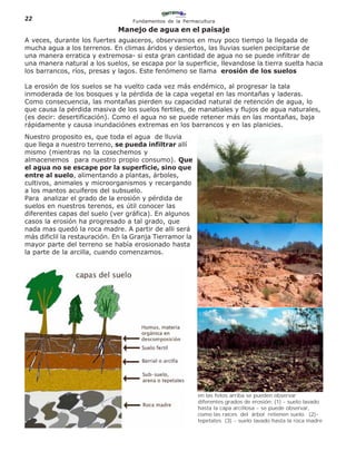 22                                 Fundamentos de la Permacultura
                              Manejo de agua en el paisaje
A veces, durante los fuertes aguaceros, observamos en muy poco tiempo la llegada de
mucha agua a los terrenos. En climas áridos y desiertos, las lluvias suelen pecipitarse de
una manera erratica y extremosa- si esta gran cantidad de agua no se puede infiltrar de
una manera natural a los suelos, se escapa por la superficie, llevandose la tierra suelta hacia
los barrancos, ríos, presas y lagos. Este fenómeno se llama erosión de los suelos

La erosión de los suelos se ha vuelto cada vez más endémico, al progresar la tala
inmoderada de los bosques y la pérdida de la capa vegetal en las montañas y laderas.
Como consecuencia, las montañas pierden su capacidad natural de retención de agua, lo
que causa la pérdida masiva de los suelos fertiles, de manatiales y flujos de agua naturales,
(es decir: desertificación). Como el agua no se puede retener más en las montañas, baja
rápidamente y causa inundaciónes extremas en los barrancos y en las planicies.
Nuestro proposito es, que toda el agua de lluvia
que llega a nuestro terreno, se pueda infiltrar allí
mismo (mientras no la cosechemos y
almacenemos para nuestro propio consumo). Que
el agua no se escape por la superficie, sino que
entre al suelo, alimentando a plantas, árboles,
cultivos, animales y microorganismos y recargando
a los mantos acuiferos del subsuelo.
Para analizar el grado de la erosión y pérdida de
suelos en nuestros terenos, es útil conocer las
diferentes capas del suelo (ver gráfica). En algunos
casos la erosión ha progresado a tal grado, que
nada mas quedó la roca madre. A partir de alli será
más dificlil la restauración. En la Granja Tierramor la
mayor parte del terreno se había erosionado hasta
la parte de la arcilla, cuando comenzamos.




                                                          en las fotos arriba se pueden observar
                                                          diferentes grados de erosión: (1) - suelo lavado
                                                          hasta la capa arcillosa - se puede observar,
                                                          como las raíces del árbol retienen suelo. (2)-
                                                          tepetates (3) - suelo lavado hasta la roca madre
 