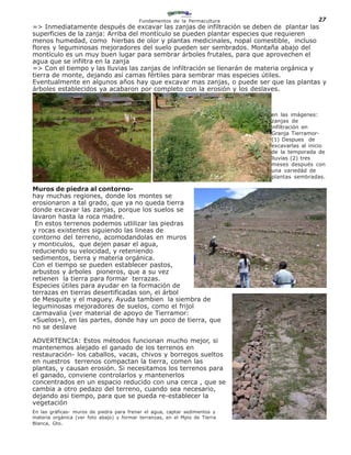 Fundamentos de la Permacultura                     27
=> Inmediatamente después de excavar las zanjas de infiltración se deben de plantar las
superficies de la zanja: Arriba del montículo se pueden plantar especies que requieren
menos humedad, como hierbas de olor y plantas medicinales, nopal comestible, incluso
flores y leguminosas mejoradores del suelo pueden ser sembrados. Montaña abajo del
montículo es un muy buen lugar para sembrar árboles frutales, para que aprovechen el
agua que se infiltra en la zanja
=> Con el tiempo y las lluvias las zanjas de infiltración se llenarán de materia orgánica y
tierra de monte, dejando así camas fértiles para sembrar mas especies útiles.
Eventualmente en algunos años hay que excavar mas zanjas, o puede ser que las plantas y
árboles establecidos ya acabaron por completo con la erosión y los deslaves.



                                                                             en las imágenes:
                                                                             zanjas de
                                                                             infiltración en
                                                                             Granja Tierramor-
                                                                             (1) Despues de
                                                                             excavarlas al inicio
                                                                             de la temporada de
                                                                             lluvias (2) tres
                                                                             meses después con
                                                                             una variedád de
                                                                             plantas sembradas.

Muros de piedra al contorno-
hay muchas regiones, donde los montes se
erosionaron a tal grado, que ya no queda tierra
donde excavar las zanjas, porque los suelos se
lavaron hasta la roca madre.
 En estos terrenos podemos utlilizar las piedras
y rocas existentes siguiendo las lineas de
contorno del terreno, acomodandolas en muros
y monticulos, que dejen pasar el agua,
reduciendo su velocidad, y reteniendo
sedimentos, tierra y materia orgánica.
Con el tiempo se pueden establecer pastos,
arbustos y árboles pioneros, que a su vez
retienen la tierra para formar terrazas.
Especies útiles para ayudar en la formación de
terrazas en tierras desertificadas son, el árbol
de Mesquite y el maguey. Ayuda tambien la siembra de
leguminosas mejoradores de suelos, como el frijol
carmavalia (ver material de apoyo de Tierramor:
«Suelos»), en las partes, donde hay un poco de tierra, que
no se deslave

ADVERTENCIA: Estos métodos funcionan mucho mejor, si
mantenemos alejado el ganado de los terrenos en
restauración- los caballos, vacas, chivos y borregos sueltos
en nuestros terrenos compactan la tierra, comen las
plantas, y causan erosión. Si necesitamos los terrenos para
el ganado, conviene controlarlos y mantenerlos
concentrados en un espacio reducido con una cerca , que se
cambia a otro pedazo del terreno, cuando sea necesario,
dejando asi tiempo, para que se pueda re-establecer la
vegetación
En las gráficas- muros de piedra para frenar el agua, captar sedimentos y
materia orgánica (ver foto abajo) y formar terranzas, en el Mpio de Tierra
Blanca, Gto.
 