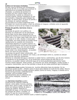 28                               Fundamentos de la Permacultura
Cultivo en terrazas niveladas
Se dice, que en terrenos con inclinaciones
mayores de 6% no se debe que practicar la
agricultura sin el empleo de terrazas
niveladas. La práctica de sembrar en
terrazas era muy común hasta muy
recientemente, cuando se retiraron en
muchos lugares, porque impedieron el uso
de tractores y maquinas para trabajar los
campos. En pocos años, la tierra se pierde y
los campos se vuelven estériles.
Las terrazas en el cultivo tradicional eran
formadas con muros de piedra, o bien se utilizaba el maguey y árboles como el aguacate
para detener la tierra de las milpas en las laderas.
Presas de gavión, barreras vivas y
muertas
las presas de gavión (ver gráfica a la
derecha) se construyen en los barrancos,
donde baja mucha agua después de los
aguaceros fuertes en la temporada de lluvia.
Como esto a lo mejor pasa nada más una o
dos veces en el año, resulta a veces poco
imaginable, que estas presas se pueden llenar
rápidamente en cuestión de minutos.Es
importante dejarles en la parte superior un
canal suficientemente ancho para que pueda
desbordarse el agua, una vez que se haya
llenado la presa. Si los terrenos montaña
arriba estan muy desprotegidos , se pueden
llenar con tierra en poco tiempo.
Las presas de gavión estan construidas con
cajones de malla que se rellenan con rocas, y se entretejen entre si, cuando se colocan
para formar barreras resistentes.
Detienen la velocidad del agua y alcanzan a captar tierra y sedimentos, que de otra manera
se perderian en los grandes ríos. Si se construyen varias presas de este tipo en un
barranco, es posible, retener suficiente agua en la tierra,pudiendose aprovechar hasta
muchos meses después. Estas presas, en conjunto con otras estratégias, puede ayudar a
recuperar manantiales, que se han perdido a causa de las malas prácticas agro-forestales.

Las barreras vivas pueden formarse de muchos diferentes tipos de plantas: En los
barrancos puede ayudar ; árboles como el sauce para detener el suelo de las orillas. Para la
formación de terrazas se puede sembrar pastos (como té limón), maguey o árboles de la
familia de leguninosae, preferiblemente
espécies, que se pueden podar
periodicamente para la obtención de
leña (como mesquite, husache, y
otros)

Las barreras muertas pueden
construirse de cualquier material
natural, como palos, troncos, piedras,
pasto seco, tierra o paja. se fijan en la
tierra con estacas hechas de palos y
postes de madera. Reducen la
velocidád del agua en los barrancos y
los campos de cultivo. Cumplen el
mismo fin que los muros de piedra -
dejan pasar el agua, pero retienen suelo y materia orgánica.
 