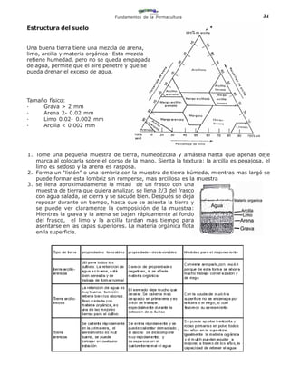 Fundamentos de la Permacultura                            31

Estructura del suelo


Una buena tierra tiene una mezcla de arena,
limo, arcilla y materia orgánica- Esta mezcla
retiene humedad, pero no se queda empapada
de agua, permite que el aire penetre y que se
pueda drenar el exceso de agua.




Tamaño físico:
·    Grava > 2 mm
·    Arena 2- 0.02 mm
·    Limo 0.02- 0.002 mm
·    Arcilla < 0.002 mm




1. Tome una pequeña muestra de tierra, humedézcala y amásela hasta que apenas deje
   marca al colocarla sobre el dorso de la mano. Sienta la textura: la arcilla es pegajosa, el
   limo es sedoso y la arena es rasposa.
2. Forma un “listón” o una lombriz con la muestra de tierra húmeda, mientras mas largó se
   puede formar esta lombriz sin romperse, mas arcillosa es la muestra
3. se llena aproximadamente la mitad de un frasco con una
   muestra de tierra que quiera analizar, se llena 2/3 del frasco
   con agua salada, se cierra y se sacude bien. Después se deja
   reposar durante un tiempo, hasta que se asienta la tierra y
   se puede ver claramente la composición de la muestra:
   Mientras la grava y la arena se bajan rápidamente al fondo
   del frasco, el limo y la arcilla tardan mas tiempo para
   asentarse en las capas superiores. La materia orgánica flota
   en la superficie.
 