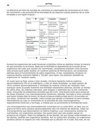 36                               Fundamentos de la Permacultura


La diferencia de ritmo de reciclaje de nutrientes es responsable del incremento en el ritmo
de crecimiento y del aumento de la diversidad de las especies cuando pasamos de un área
templada a una región tropical.




Aunque los organismos del suelo funcionen a distintos ritmos en distintos climas, la manera
en que funcionan es la misma. Dado que la fertilidad es dependiente de la acción de los
organismos del suelo que reciclan los nutrimentos, necesitamos entender como funciona
este proceso para poder diseñar, en nuestros sistemas de Permacultura, las condiciones
óptimas para el funcionamiento de estos organismos. O sea, necesitamos introducir en
nuestros diseños suficiente hábitat y "forraje" para lograr una población deseable de
organismos en nuestros suelos.

Un suelo sano es flojo, sueve y bien aireado. Contiene bastante materia orgánica,
aproximadamente 5% en el subtrópico, y más en áreas templadas. La capa superior de
15cm contiene aproximadamente 2 toneladas de materia viviente por hectárea. Para
averiguar como se puede mantener esa fertilidad necesitamos observar, durante un tiempo
de varios años, los sistemas naturales, sean bosques o pastizales que se han mantenido
solos, incluyendo las poblaciones animales que allí viven. (Una buena razón para preservar
las áreas silvestres.) Los macroorganismos (lombrices, tijerillas, hormigas y otros animales
que hacen túneles bajo la tierra), se llevan la basura orgánica bajo tierra y la excretan en
sus heces. Conforme van cavando, crean túneles que ayudan a mantener la tierra aireada.
Generalmente se nota un incremento en la actividad de esos macroorganismos,
especialmente lombrices y hormigas, a medida que va aumentando la fertilidad del suelo.

Los microorganismos son extremadamente numerosos en un suelo fértil, es decir que un
gramo de tierra sana contiene aproximadamente diez mil millones de bacterias. Todos los
microorganismos que descomponen la materia orgánica y por consecuencia reciclan los
nutrimentos, son organismos aerobios. Eso quiere decir que solo pueden actuar en
presencia de oxígeno. Todos los patógenos de las plantas, los que causan enfermedades en
las plantas, también son organismos aerobios. Aún en suelos bien aireados, los organismos
aerobios utilizan el oxígeno con más velocidad que su difusión en el suelo. Eso crea, de vez
 