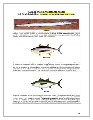 16
MAIS SOBRE OS PRINCIPAIS PEIXES
DE ÁGUA SALGADA (em amarelo os de pesca em praia)
Agulha
Pesca-se com sardinhas e camarões mas é mais recomendado o arremesso com iscas artificiais. Encontrado
em toda a costa Brasileira, ao longo de todo ano. Comum em praias e lagoas de água salobra. Deve-se
usar linha acima de 0.16 mm, fazendo o arremesso e trabalhando com pequenas curricadas (Puxões),
trazendo rápido depois de fisgado. Chega até 1,5 m de comprimento.
Albacora
Suas iscas naturais são as lulas, peixes voadores, farnangaios, paratis e sardinhas enquanto as artificiais são
os plugs (Iscas artificiais em geral) de meia água, lulas e peixinhos sintéticos. O tipo de pesca é de CORRICO
(O barco arrasta a isca para atrair o peixe) à superfície, em alto-mar, e pode ser feita ao longo de todo
ano mas de preferência de setembro a abril, em toda costa Brasileira, principalmente no Nordeste. Seu peso
pode atingir os 80 Kg e deve ser usada linha acima de 0,37 mm e com equipamento entre pesado e extra-
pesado. É um peixe de sangue quente e vive nas correntes marinhas, principalmente no Espírito Santo.
Atum
Suas iscas naturais são as lulas, peixes voadores, farnangaios, paratis e sardinhas enquanto as artificiais são
os plugs (Iscas artificiais em geral) de meia água, lulas e peixinhos sintéticos. O tipo de pesca é de CORRICO
(O barco arrasta a isca para atrair o peixe) à superfície, em alto-mar, e pode ser feita ao longo de todo
ano mas de preferência de setembro a abril, em toda costa Brasileira, principalmente no Nordeste. Seu peso
pode atingir os 200 Kg e deve ser usada linha acima de 0,37 mm e com equipamento entre pesado e extra-
pesado. É um peixe de sangue quente e vive nas correntes marinhas, principalmente no Espírito Santo.
 