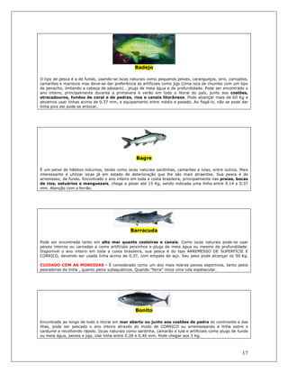17
Badejo
O tipo de pesca é a de fundo, usando-se iscas naturais como pequenos peixes, caranguejos, siris, corruptos,
camarões e mariscos mas deve-se dar preferência às artificiais como jigs (Uma isca de chumbo com um tipo
de penacho, imitando a cabeça de pássaro) , plugs de meia água e de profundidade. Pode ser encontrado o
ano inteiro, principalmente durante a primavera e verão em todo o litoral do país, junto aos costões,
atracadouros, fundos de coral e de pedras, rios e canais litorâneos. Pode alcançar mais de 60 Kg e
devemos usar linhas acima de 0.37 mm, e equipamento entre médio e pesado. Ao fisgá-lo, não se pode dar
linha pois ele pode se entocar.
Bagre
É um peixe de hábitos noturnos, tendo como iscas naturais sardinhas, camarões e lulas, entre outros. Mais
interessante é utilizar iscas já em estado de deterioração que lhe são mais atraentes. Sua pesca é de
arremesso, de fundo. Encontrado o ano inteiro em toda a costa brasileira, principalmente nas praias, bocas
de rios, estuários e manguezais, chega a pesar até 15 Kg, sendo indicada uma linha entre 0.14 e 0.37
mm. Atenção com o ferrão.
Barracuda
Pode ser encontrada tanto em alto mar quanto costeiras e canais. Como iscas naturais pode-se usar
peixes inteiros ou carnadas e como artificiais peixinhos e plugs de meia água ou mesmo de profundidade.
Disponível o ano inteiro em toda a costa brasileira, sua pesca é do tipo ARREMESSO DE SUPERFÍCIE E
CORRICO, devendo ser usada linha acima de 0.37, com empate de aço. Seu peso pode alcançar os 50 Kg.
CUIDADO COM AS MORDIDAS - É considerado como um dos mais nobres peixes esportivos, tanto pelos
pescadores de linha , quanto pelos subaquáticos. Quando "ferra" inicia uma luta espetacular.
Bonito
Encontrado ao longo de todo o litoral em mar aberto ou junto aos costões de pedra do continente e das
ilhas, pode ser pescado o ano inteiro através do modo de CORRICO ou arremessando a linha sobre o
cardume e recolhendo rápido. Iscas naturais como sardinha, camarão e lula e artificiais como plugs de fundo
ou meia água, peixes e jigs. Use linha entre 0.28 e 0.40 mm. Pode chegar aos 3 Kg.
 