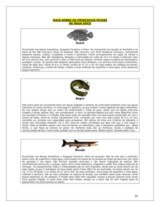 24
MAIS SOBRE OS PRINCIPAIS PEIXES
DE ÁGUA DOCE
Acará
Encontrado nas Bacias Amazônica, Araguaia-Tocantins e Prata. Foi introduzido nos açudes do Nordeste e na
bacia do Rio São Francisco. Peixe de escamas. São onívoros, com forte tendência carnívora, consumindo
pequenos peixes, insetos, crustáceos e frutos e sementes. Vivem principalmente em lagos de várzea e
lagoas marginais. Não são migradores. Atingem a maturidade por volta de 10 a 12 meses e desovam mais
de uma vez por ano, com cerca de 1.500 a 2.000 ovos por desova. Formam casais na época da reprodução e
protegem a prole. Os adultos são bastante apreciados como alimento e os alevinos como peixe ornamental.
Varas de ação leve, linhas de 8 a 12 libras; anzóis de nº 12 a 20. As iscas podem ser pedaços de peixes,
minhoca, minhocuçu, miúdos de frango, insetos e iscas artificiais de superfície e meia água, como pequenos
plugs e spinners.
Bagre
Este peixe pode ser encontrado tanto em águas salgadas e salobras da costa leste brasileira como nas águas
interiores do nosso território. O nome bagre é genérico, já que existem muitas espécies de bagre diferentes.
No mar podem atingir até um metro de comprimento e 15Kg de peso, sendo que em águas interiores
chegam a atingir apenas 2Kg, não considerando, é claro, os grandes Bagres que tem nome específico como
por exemplo a Pirarara e a Piraíba. Este peixe pode ser pescado tanto na praia quanto embarcado em rios e
canais de baías. Deve-se utilizar equipamento leve, composto por uma vara para linhas de 6 a 14 Lbs,
carretilha ou molinete com capacidade para armazenar 100 metros de linha com 0,30mm de diâmetro e
anzóis tipo maruseigo tamanho 1/0 a 3/0. Deve-se utilizar chumbada que faça com que a isca toque o
fundo. Pode-se também pescar com vara de bambu ou telescópica, caso o pesqueiro possibilite que , desta
forma, a isca fique ao alcance do peixe. As melhores iscas são as minhocas, larvas e pedaços de
carne(coração de boi). Tome muito cuidado com os ferrões deste peixe. Melhor época: Durante todo o ano.
Bicuda
Encontrado nas Bacias Amazônica e Araguaia-Tocantins. Peixe de escamas. São de mar alto e profundo,
assim como de superfície e meia água, encontrados em áreas de correnteza ao longo da beira dos rios, boca
de igarapés e nos lagos. Não formam grandes cardumes e não fazem migrações de desova. São
extremamente piscívoros e vorazes, assim como muito esportivos, chegando a saltar fora d'água antes de se
entregar. Os equipamentos médio e médio/pesado são os mais indicados, sendo que as varas devem ser de
ação rígida, já que a cartilagem da boca deste peixe é bem difícil de ser perfurada. As linhas devem ser de
14, 17 ou 20 libras, e os anzóis de nº 3/0 a 5/0. As iscas artificiais, como plugs de superfície e meia água,
colheres e spinners, são as mais utilizadas na captura da bicuda, que também ataca iscas naturais, como
peixes pequenos ou em pedaços. A fricção deve estar bem regulada, porque a bicuda costuma levar muita
linha quando fisgada. O anzol deve estar bem afiado, porque se o peixe não for bem fisgado pode se
desvencilhar do anzol durante os saltos.
 