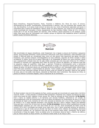 28
Mandí
Bacia Amazônica, Araguaia-Tocantins, Prata, Tocantins e Atlântico Sul. Peixe de couro. É onívoro,
alimentando-se de peixes, invertebrados, frutos/sementes e detritos. Vive nos remansos das margens dos
rios. Na Amazônia, é um peixe muito comum na beira dos rios. Como é facilmente capturado com anzol, é
importante para a pesca de subsistência. Mesmo sendo um peixe pequeno, por causa da sua abundância, é
muito encontrado em mercados e feiras. Equipamento do tipo leve/leve médio; linhas de 10 a 14 libras;
anzóis até o nº 2/0. As iscas podem ser naturais, como minhoca, peixes pequenos ou em pedaços, queijo
prato. Esse peixe deve ser manuseado com cuidado, porque os espinhos das nadadeiras dorsal e peitorais
podem causar ferimentos dolorosos.
Matrinxã
São encontradas em águas amazônicas, onde freqüentam rios e lagoas a procura de frutinhas e pequenos
peixes, seus principais alimentos. Vivem próximas à estruturas como paus submersos, onde espreitam suas
presas. A Matrinxã pode ser considerada hoje, como um dos peixes mais esportivos das águas interiores
brasileiras, pois promove ataques cinematográficos às iscas artificiais, seguidos de fortes corridas e saltos
acrobáticos. A melhor forma de se pescar Matrinxãs é na modalidade de pesca com iscas artificiais, sendo
que o equipamento utilizado deve ser de ação média composto por uma vara para linhas de 10 a 20Lbs e
carretilha ou molinete com capacidade para 100m de linha de 0,35mm de diâmetro. As melhores iscas são
os pequenos plugs de superfície, meia água e spinners. Procede-se arremessando junto a estruturas
submersas ou embaixo de árvores frutíferas, trabalhando os plugs com pequenos toques para provocar o
ataque do peixe. Os spinners devem ser recolhidos de forma contínua e com velocidade média. Utilize linhas
mais finas para aumentar a esportividade da pescaria. Tome cuidado quando o peixe saltar, pois é nesta
hora que as iscas costumam escapar da boca do peixe vindo em direção ao pescador. Pesca-se nas épocas
de seca, pois os rios estão mais baixos, deixando as Matrinxãs mais vulneráveis. Nas épocas de cheia, os
peixes se infiltram na floresta alagada, onde é impossível de se arremessar.
Pacú
No Brasil existem mais de trinta espécies de Pacú, sendo que pode ser encontrado em quase todo o território
nacional. Porém , é mais pescado no Pantanal Mato-grossense. Freqüenta rios e lagoas nas épocas de cheia,
onde come quase de tudo, vegetais, frutas, peixes, etc. Pode ser pescado de duas maneiras: a) Na Batida:
Com o barco na rodada próximo a um barranco com árvores frutíferas, utilizando-se um varejão de
aproximadamente 4,0m de comprimento, linha de 0,50mm de diâmetro do comprimento da vara e um anzol
encastoado de haste curta, tamanho de 3/0 a 6/0, procede-se batendo com a isca (fruta, coquinho ou bola
de massa) 2 ou 3 vezes seguidas deixando a isca afundar até que o Pacú a ataque. Fisgue com bastante
força para que o anzol fixe na boca dura do peixe. b) No Arremesso: Deve-se utilizar equipamento de ação
média/pesada composto por uma vara para linhas de 10 a 25 Lbs, anzol encastoado de haste curta de
número 3/0 a 6/0 e chumbada que possa correr pela linha. Com o barco amarrado próximo ao barranco,
arremessa-se a isca de modo que ao afundar ela fique em locais como: debaixo de camalotes, barrancos
com árvores frutíferas, etc. As melhores iscas são as que possuem gosto azedo: caranguejo, filé de peixe
amanhecido e frutas da região. Tanto na batida como no arremesso, deve-se fazer o máximo de silêncio,
pois ao menor barulho os Pacús somem. Os melhores meses serão os de março e abril.
 