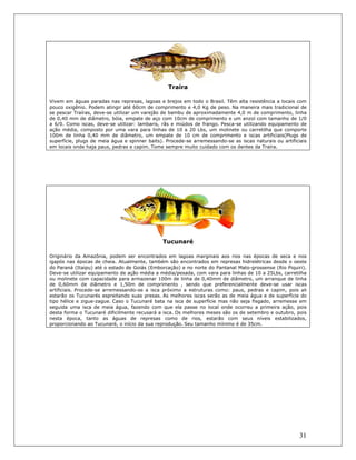 31
Traíra
Vivem em águas paradas nas represas, lagoas e brejos em todo o Brasil. Têm alta resistência a locais com
pouco oxigênio. Podem atingir até 60cm de comprimento e 4,0 Kg de peso. Na maneira mais tradicional de
se pescar Traíras, deve-se utilizar um varejão de bambu de aproximadamente 4,0 m de comprimento, linha
de 0,40 mm de diâmetro, bóia, empate de aço com 10cm de comprimento e um anzol com tamanho de 1/0
a 6/0. Como iscas, deve-se utilizar: lambaris, rãs e miúdos de frango. Pesca-se utilizando equipamento de
ação média, composto por uma vara para linhas de 10 a 20 Lbs, um molinete ou carretilha que comporte
100m de linha 0,40 mm de diâmetro, um empate de 10 cm de comprimento e iscas artificiais(Plugs de
superfície, plugs de meia água e spinner baits). Procede-se arremessando-se as iscas naturais ou artificiais
em locais onde haja paus, pedras e capim. Tome sempre muito cuidado com os dentes da Traíra.
Tucunaré
Originário da Amazônia, podem ser encontrados em lagoas marginais aos rios nas épocas de seca e nos
igapós nas épocas de cheia. Atualmente, também são encontrados em represas hidrelétricas desde o oeste
do Paraná (Itaipu) até o estado de Goiás (Emborcação) e no norte do Pantanal Mato-grossense (Rio Piquiri).
Deve-se utilizar equipamento de ação média a média/pesada, com vara para linhas de 10 a 25Lbs, carretilha
ou molinete com capacidade para armazenar 100m de linha de 0,40mm de diâmetro, um arranque de linha
de 0,60mm de diâmetro e 1,50m de comprimento , sendo que preferencialmente deve-se usar iscas
artificiais. Procede-se arremessando-se a isca próximo a estruturas como: paus, pedras e capim, pois ali
estarão os Tucunarés espreitando suas presas. As melhores iscas serão as de meia água e de superfície do
tipo hélice e zigue-zague. Caso o Tucunaré bata na isca de superfície mas não seja fisgado, arremesse em
seguida uma isca de meia água, fazendo com que ela passe no local onde ocorreu a primeira ação, pois
desta forma o Tucunaré dificilmente recusará a isca. Os melhores meses são os de setembro e outubro, pois
nesta época, tanto as águas de represas como de rios, estarão com seus níveis estabilizados,
proporcionando ao Tucunaré, o início da sua reprodução. Seu tamanho mínimo é de 35cm.
 