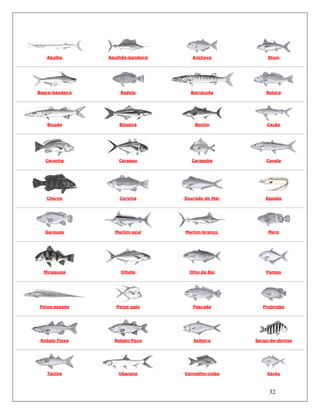 32
Agulha Agulhão-bandeira Anchova Atum
Bagre-bandeira Badejo Barracuda Betara
Bicuda Bijupira Bonito Cação
Caranha Carapau Carapeba Cavala
Cherne Corvina Dourado do Mar Espada
Garoupa Marlim-azul Marlim-branco Mero
Miraguaia Olhete Olho de Boi Pampo
Peixe-espada Peixe-galo Pescada Prejereba
Robalo Flexa Robalo Peva Salteira Sargo-de-dentes
Tainha Ubarana Vermelho-cioba Xaréu
 