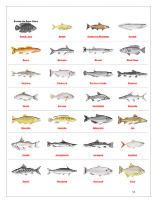 33
Peixes de Água Doce
Acará - açu Apapá Armau ou Abotoado Aruanã
Bagre Barbado Bicuda Black Bass
Cachara Cachorra Cachorra-facão Caparari
Carpa Corvina Curimbatá Dourada
Dourado Jacundá Jatuarana Jaú
Jundiá Jurupensém Jurupoca Lambari
Mandi Mandube Matrinxã Pacú
 