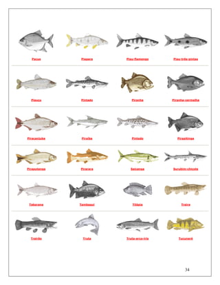 34
Pacus Piapara Piau-flamengo Piau-três-pintas
Piauçu Pintado Piranha Piranha-vermelha
Piracanjuba Piraíba Pintado Pirapitinga
Piraputanga Pirarara Saicanga Surubim-chicote
Tabarana Tambaqui Tilápia Traira
Trairão Truta Truta-arco-íris Tucunaré
 