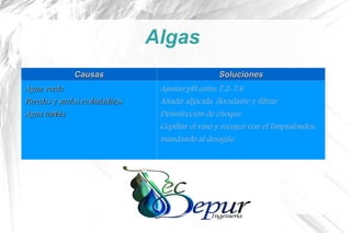 Algas
CausasCausas SolucionesSoluciones
Agua verdeAgua verde
Paredes y suelos resbaladizosParedes y suelos resbaladizos
Agua turbiaAgua turbia
Ajustar pH entre 7,2-7,6
Añadir algicida, floculante y filtrar
Desinfección de choque
Cepillar el vaso y recoger con el limpiafondos,
mandando al desagüe.
 
