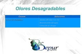 Olores Desagradables
CausasCausas SolucionesSoluciones
Exceso de cloraminasExceso de cloraminas Ajustar pH entre 7,2-7,6
Renovar parte del agua
Cloración de choque
 