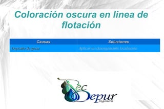 Coloración oscura en linea de
flotación
CausasCausas SolucionesSoluciones
Depósito de grasaDepósito de grasa Aplicar un desengrasante localmente
 