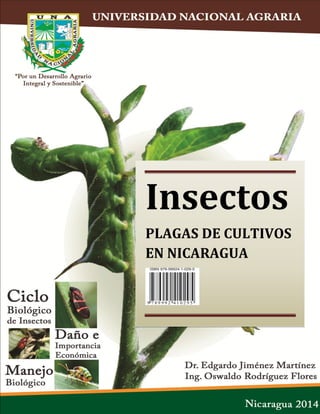 Universidad Nacional Agraria Insectos Plagas de Cultivos en Nicaragua
Dr. Edgardo Jiménez Martínez PhD Ing. Oswaldo Rodríguez Flores
Insectos
PLAGAS DE CULTIVOS
EN NICARAGUA
 