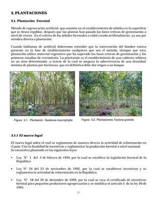 Manual de plantaciones forestales