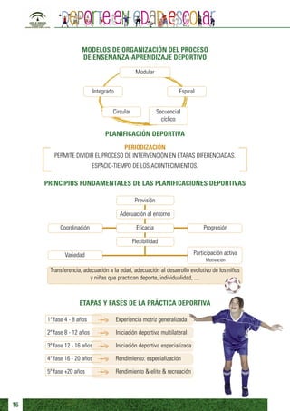 MODELOS DE ORGANIZACIÓN DEL PROCESO
                    DE ENSEÑANZA-APRENDIZAJE DEPORTIVO

                                                 Modular


                            Integrado                                Espiral


                                    Circular                Secuencial
                                                              cíclico

                                 PLANIFICACIÓN DEPORTIVA
                                   PERIODIZACIÓN
        PERMITE DIVIDIR EL PROCESO DE INTERVENCIÓN EN ETAPAS DIFERENCIADAS.
                           ESPACIO-TIEMPO DE LOS ACONTECIMIENTOS.

     PRINCIPIOS FUNDAMENTALES DE LAS PLANIFICACIONES DEPORTIVAS

                                                Previsión

                                         Adecuación al entorno

          Coordinación                           Eficacia                        Progresión

                                               Flexibilidad

             Variedad                                                        Participación activa
                                                                                  Motivación

      Transferencia, adecuación a la edad, adecuación al desarrollo evolutivo de los niños
                        y niñas que practican deporte, individualidad, ....



                   ETAPAS Y FASES DE LA PRÁCTICA DEPORTIVA

     1ª fase 4 - 8 años                 Experiencia motriz generalizada

     2ª fase 8 - 12 años                Iniciación deportiva multilateral

     3ª fase 12 - 16 años               Iniciación deportiva especializada

     4ª fase 16 - 20 años               Rendimiento: especialización

     5ª fase +20 años                   Rendimiento & elite & recreación




16
 
