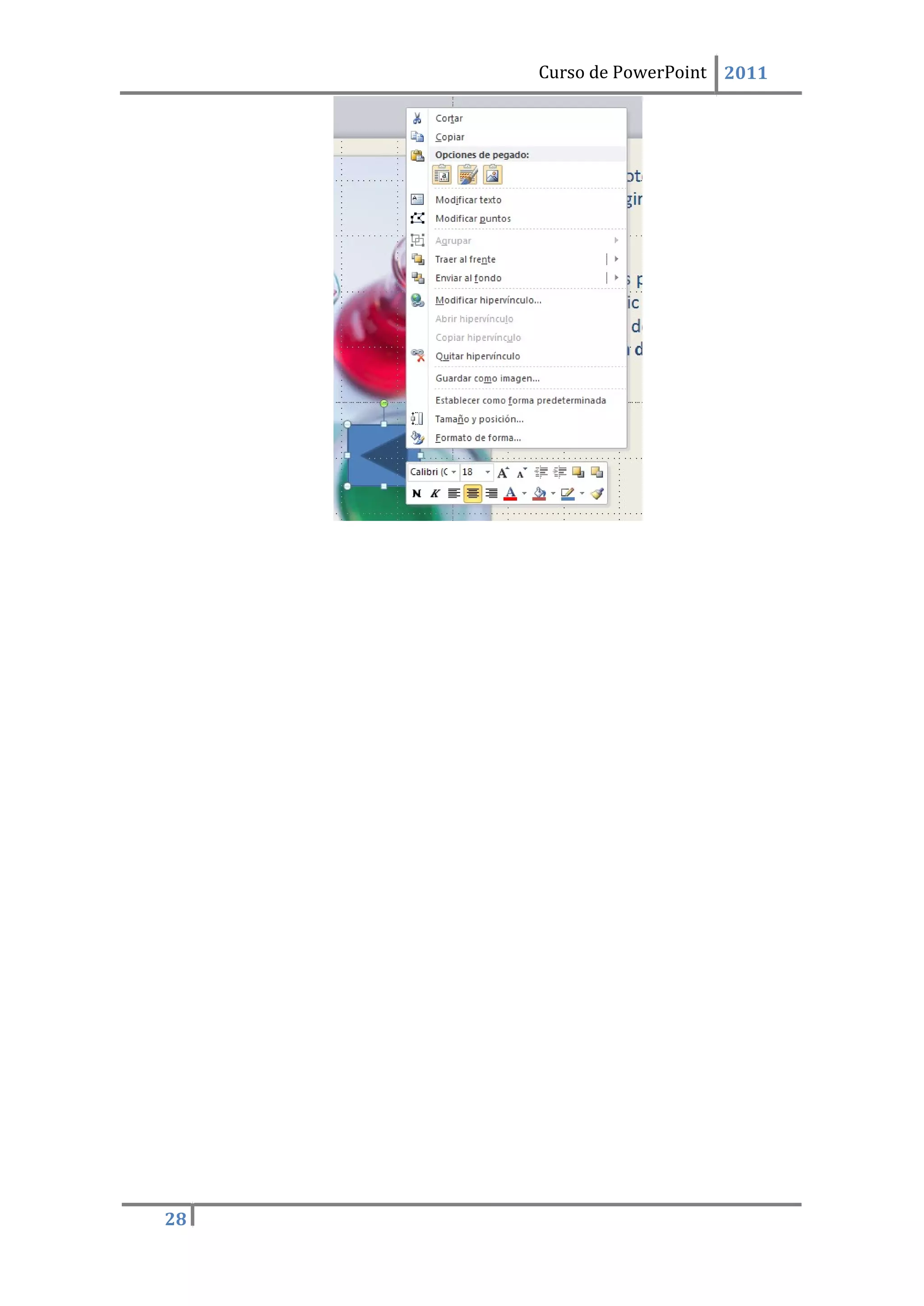 28
Curso de PowerPoint 2011
 