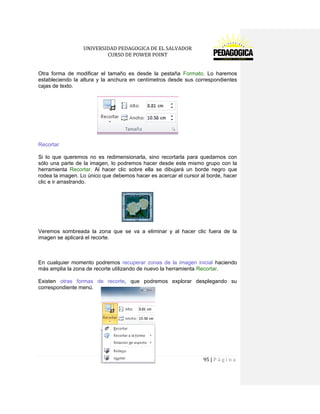 UNIVERSIDAD PEDAGOGICA DE EL SALVADOR 
CURSO DE POWER POINT 
95 | P á g i n a 
Otra forma de modificar el tamaño es desde la pestaña Formato. Lo haremos estableciendo la altura y la anchura en centímetros desde sus correspondientes cajas de texto. 
Recortar 
Si lo que queremos no es redimensionarla, sino recortarla para quedarnos con sólo una parte de la imagen, lo podremos hacer desde este mismo grupo con la herramienta Recortar. Al hacer clic sobre ella se dibujará un borde negro que rodea la imagen. Lo único que debemos hacer es acercar el cursor al borde, hacer clic e ir arrastrando. 
Veremos sombreada la zona que se va a eliminar y al hacer clic fuera de la imagen se aplicará el recorte. 
En cualquier momento podremos recuperar zonas de la imagen inicial haciendo más amplia la zona de recorte utilizando de nuevo la herramienta Recortar. 
Existen otras formas de recorte, que podremos explorar desplegando su correspondiente menú. 
 