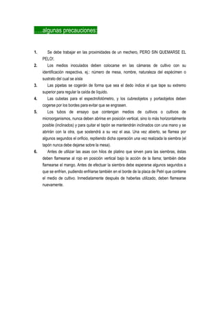 …..algunas precauciones:


1.      Se debe trabajar en las proximidades de un mechero, PERO SIN QUEMARSE EL
     PELO!.
2.      Los medios inoculados deben colocarse en las cámaras de cultivo con su
     identificación respectiva, ej.: número de mesa, nombre, naturaleza del espécimen o
     sustrato del cual se aísla
3.      Las pipetas se cogerán de forma que sea el dedo índice el que tape su extremo
     superior para regular la caída de líquido.
4.      Las cubetas para el espectrofotómetro, y los cubreobjetos y portaobjetos deben
     cogerse por los bordes para evitar que se engrasen.
5.      Los tubos de ensayo que contengan medios de cultivos o cultivos de
     microorganismos, nunca deben abrirse en posición vertical, sino lo más horizontalmente
     posible (inclinados) y para quitar el tapón se mantendrán inclinados con una mano y se
     abrirán con la otra, que sostendrá a su vez el asa. Una vez abierto, se flamea por
     algunos segundos el orificio, repitiendo dicha operación una vez realizada la siembra (el
     tapón nunca debe dejarse sobre la mesa).
6.      Antes de utilizar las asas con hilos de platino que sirven para las siembras, éstas
     deben flamearse al rojo en posición vertical bajo la acción de la llama; también debe
     flamearse el mango. Antes de efectuar la siembra debe esperarse algunos segundos a
     que se enfríen, pudiendo enfriarse también en el borde de la placa de Petri que contiene
     el medio de cultivo. Inmediatamente después de haberlas utilizado, deben flamearse
     nuevamente.
 