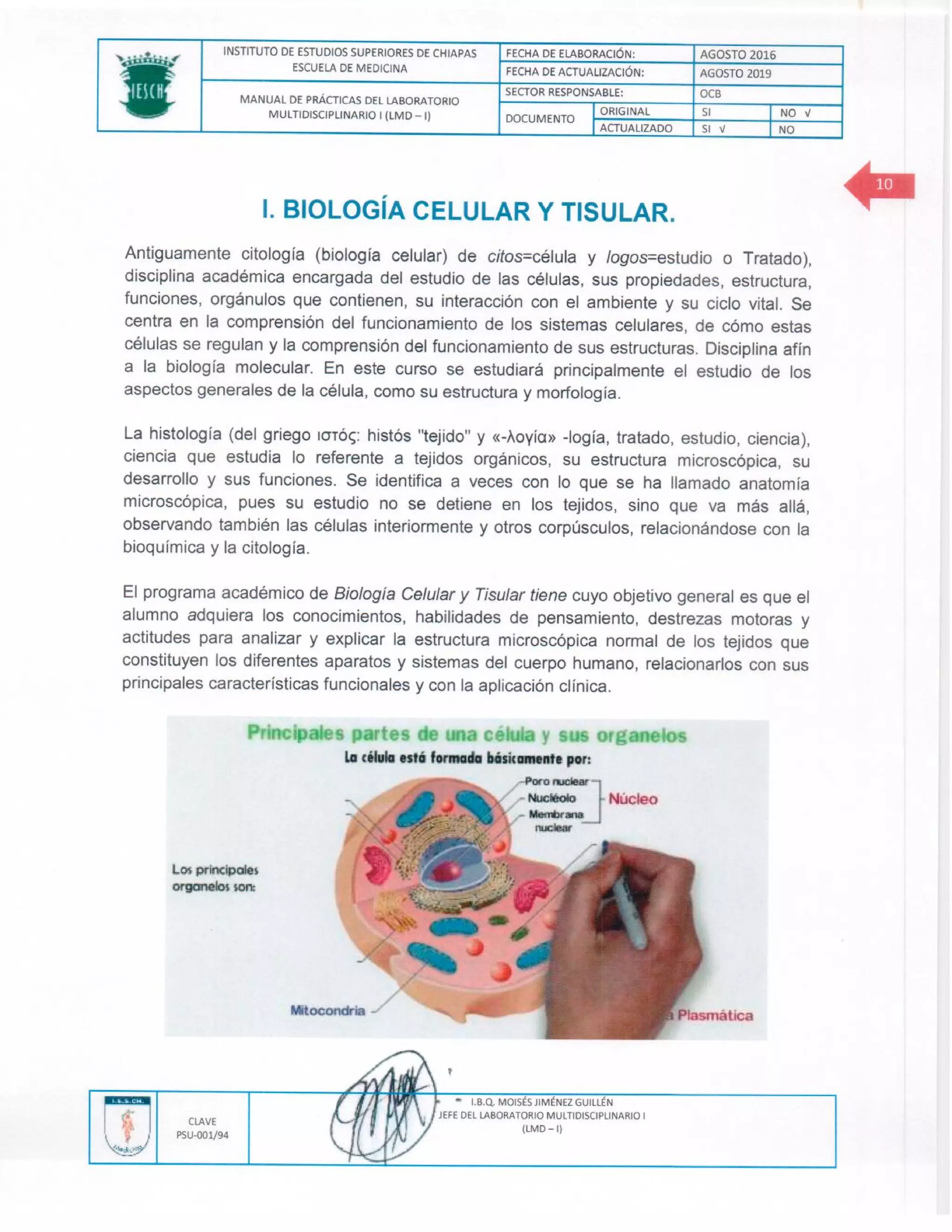 Manual de practicas de los lmd i (1)