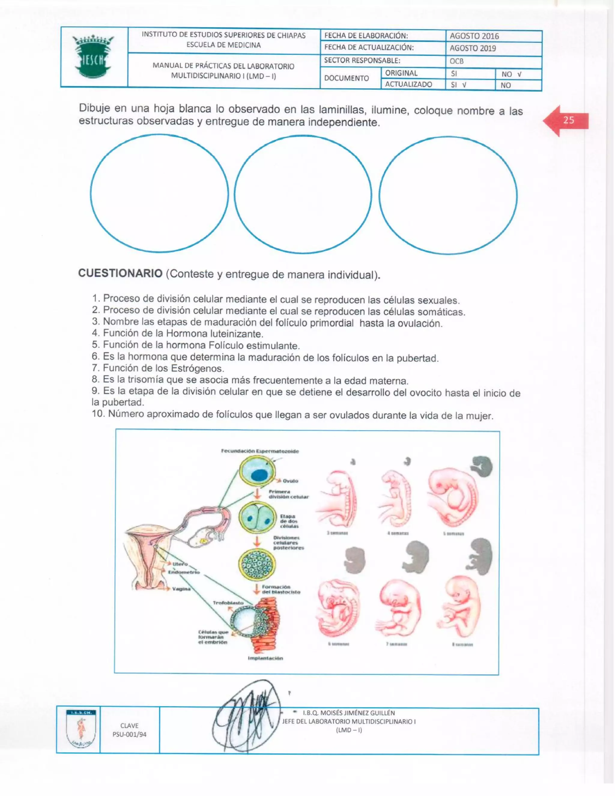 Manual de practicas de los lmd i (1)