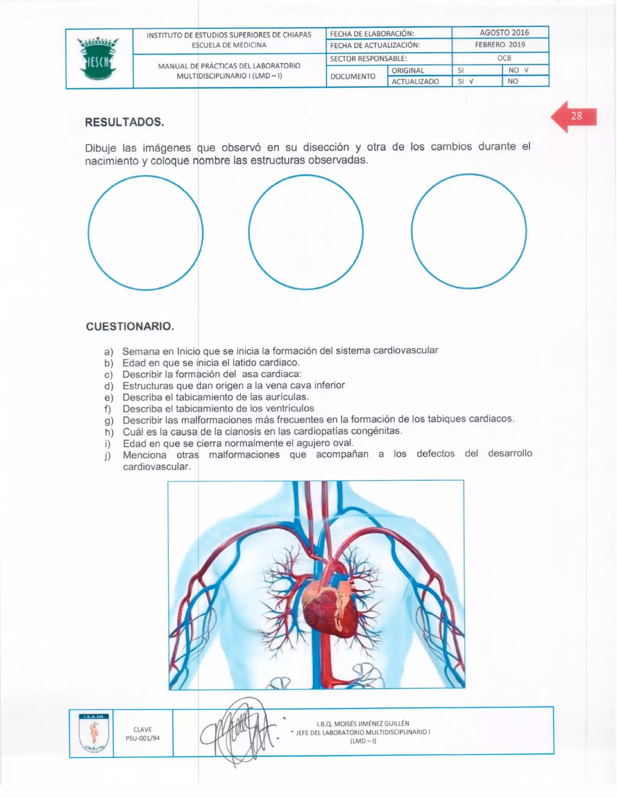 Manual de practicas de los lmd i (1)