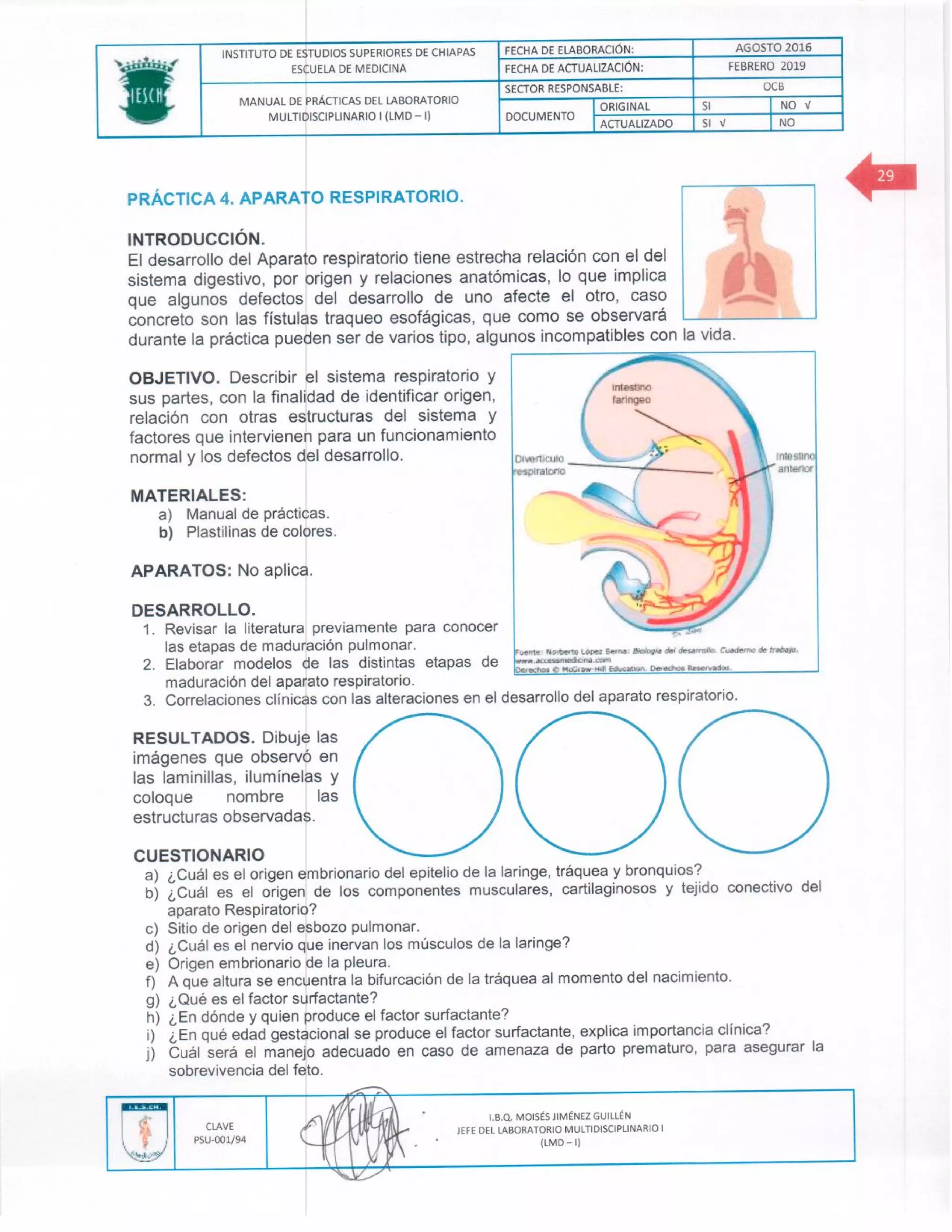 Manual de practicas de los lmd i (1)