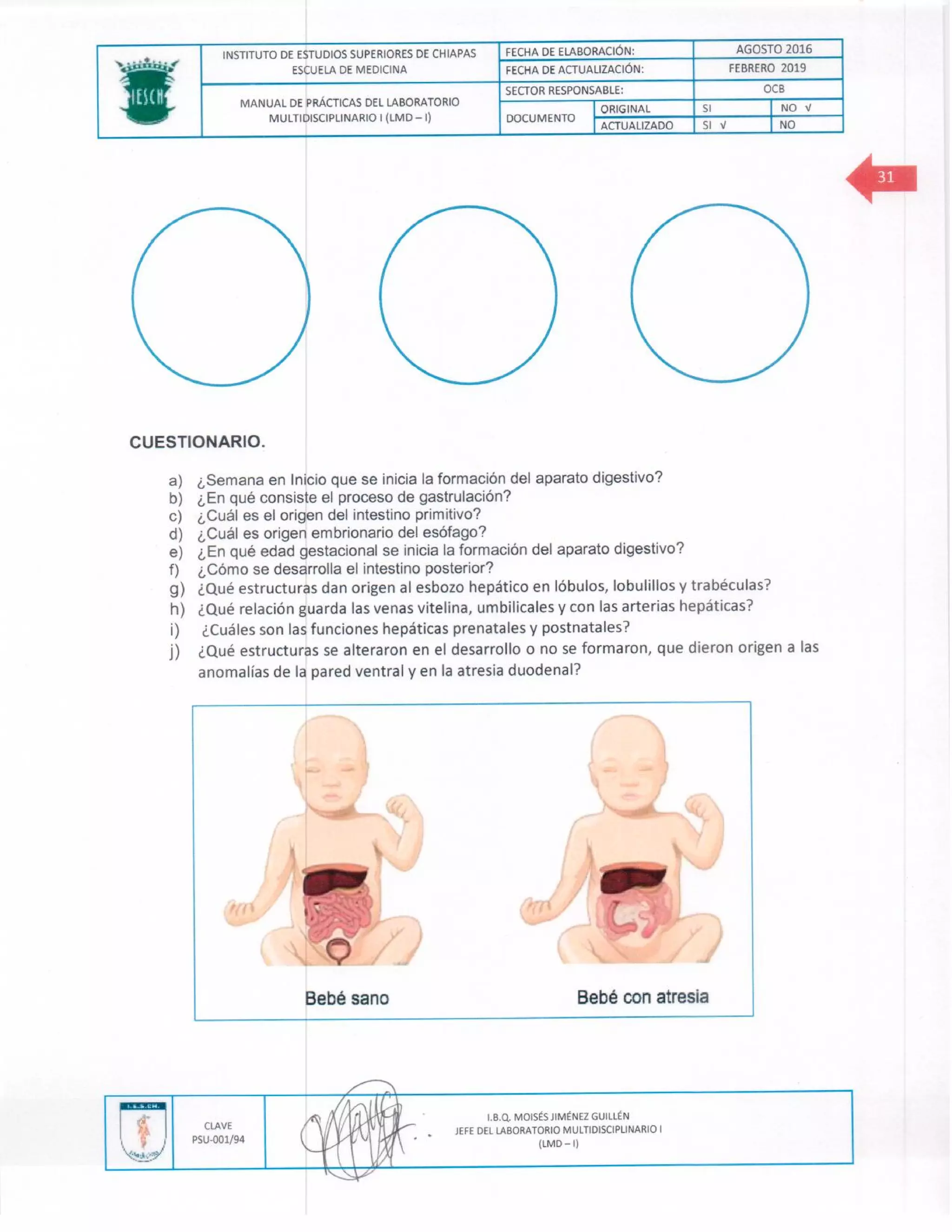 Manual de practicas de los lmd i (1)