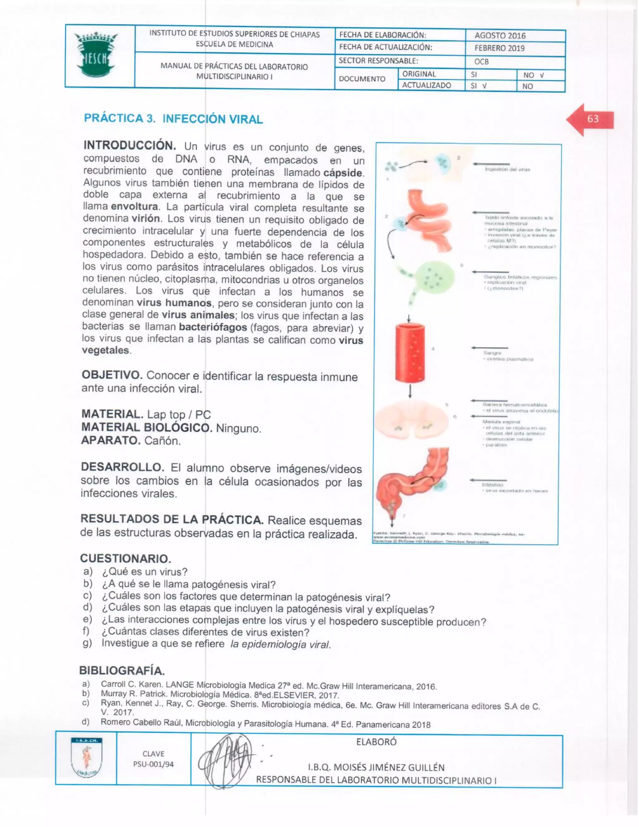 Manual de practicas de los lmd i (1)