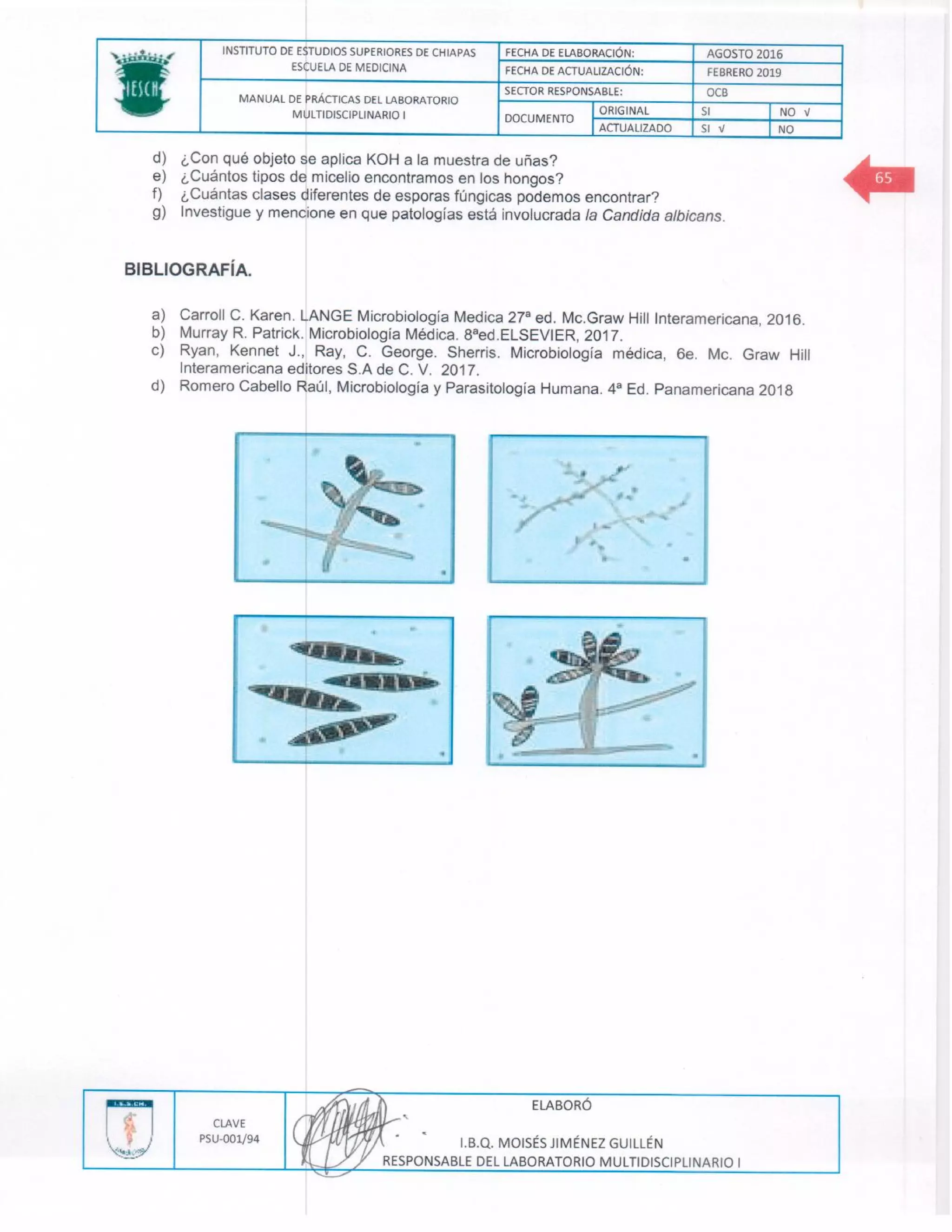 Manual de practicas de los lmd i (1)