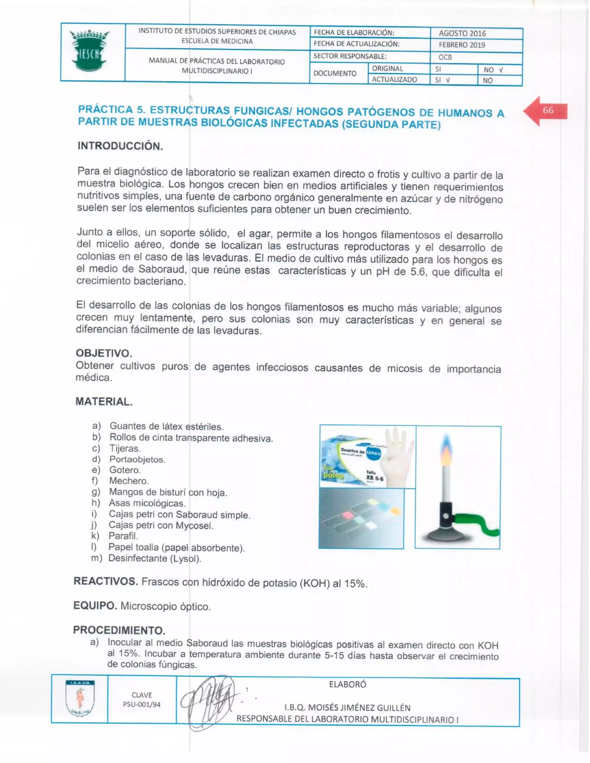 Manual de practicas de los lmd i (1)