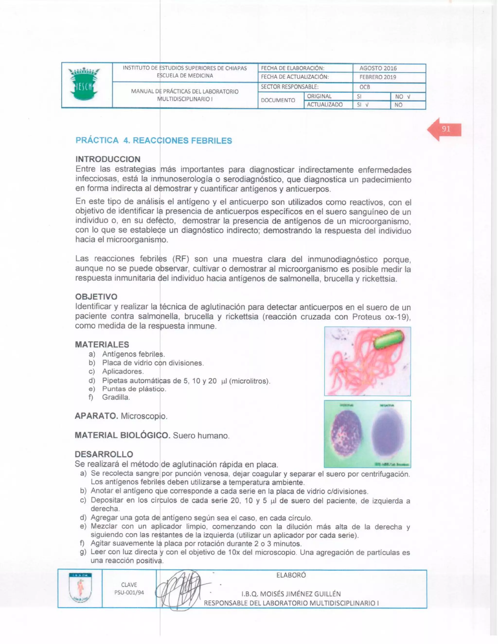 Manual de practicas de los lmd i (1)