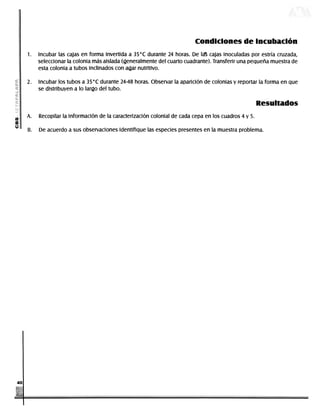 Condiciones de incubación
                  1.     Incubar las cajas en forma invertida a 35°C durante 24 horas. De las cajas inoculadas por estría cruzada,
                         seleccionar la colonia más aislada (generalmente del cuarto cuadrante). Transferir una pequeña muestra de
                         esta colonia a tubos inclinados con agar nutritivo.

                  2.     Incubar los tubos a 35°C durante 24-48 horas. Observar la aparición de colonias y reportar la forma en que
                         se distribuyen a lo largo del tubo.

                                                                                                                                                                           Resultados
                  A.      Recopilar la información de la caracterización colonial de cada cepa en los cuadros 4 y 5.
          ce
          0
                  B.      De acuerdo a sus observaciones identifique las especies presentes en la muestra problema.




           40




DERECHOS RESERVADOS © 2004, Universidad Autónoma Metropolitana (México). Prohibida la reproducción de esta obra así como la distribución y venta fuera del ámbito de la UAM®. E-libro Bibliomedia Bibliomedia@mail.com
 
