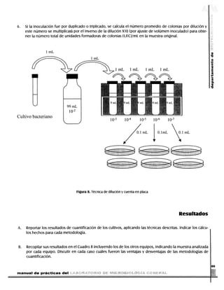 6.      Si la inoculación fue por duplicado o triplicado, se calcula el número promedio de colonias por dilución y
                        este número se multiplicará por el inverso de la dilución XI0 (por ajuste de volumen inoculado) para obte-
                        ner la número total de unidades formadoras de colonias (UFC)/mL en la muestra original.


                                            1 mL
                                                                                       1 mL

                                                                                                                                                                                                          0)
                                                                                                                1 mL        1 mL           1 mL          1 mL
                                                                                                                                                                                                         £
                                                                                                                                                                                                          (6
                                                                                                                                                                                                          a
                                                                                                                                                                                                         •o




                Cultivo bacteriano
                                                                                                         10-3          io- 4         io- 5        io- 6        io- 7


                                                                                                                                                      O.lmL             XO.lmL




                                                                         Figura 8. Técnica de dilución y cuenta en placa




                                                                                                                                                                           Resultados

                 A.      Reportar los resultados de cuantificación de los cultivos, aplicando las técnicas descritas. Indicar los cálcu-
                         los hechos para cada metodología.


                 B.      Recopilar sus resultados en el Cuadro 8 incluyendo los de los otros equipos, indicando la muestra analizada
                         por cada equipo. Discutir en cada caso cuáles fueron las ventajas y desventajas de las metodologías de
                         cuantificación.

                                                                                                                                                                                                         69

                manual de prácticas del


DERECHOS RESERVADOS © 2004, Universidad Autónoma Metropolitana (México). Prohibida la reproducción de esta obra así como la distribución y venta fuera del ámbito de la UAM®. E-libro Bibliomedia Bibliomedia@mail.com
 