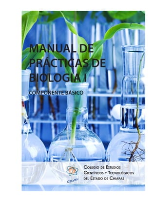 1
MANUAL DE
PRÁCTICAS DE
BIOLOGIA I
COMPONENTE BÁSICO
Colegio de Estudios
Científicos y Tecnológicos
del Estado de Chiapas
 
