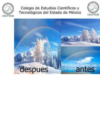 Colegio de Estudios Científicos y
Tecnológicos del Estado de México
 