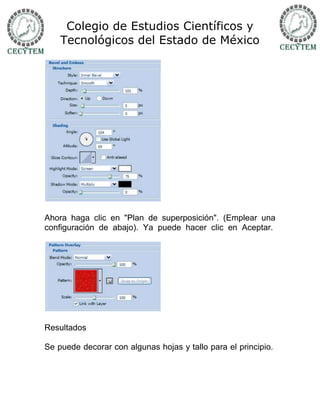 Colegio de Estudios Científicos y
    Tecnológicos del Estado de México




Ahora haga clic en "Plan de superposición". (Emplear una
configuración de abajo). Ya puede hacer clic en Aceptar.




Resultados

Se puede decorar con algunas hojas y tallo para el principio.
 