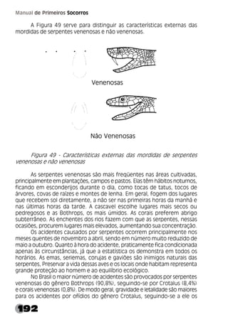 192
Manual de Primeiros Socorros
A Figura 49 serve para distinguir as características externas das
mordidas de serpentes venenosas e não venenosas.
Figura 49 - Características externas das mordidas de serpentes
venenosas e não venenosas
As serpentes venenosas são mais freqüentes nas áreas cultivadas,
principalmente em plantações, campos e pastos. Elas têm hábitos noturnos,
ficando em esconderijos durante o dia, como tocas de tatus, tocos de
árvores, covas de raízes e montes de lenha. Em geral, fogem dos lugares
que recebem sol diretamente, a não ser nas primeiras horas da manhã e
nas últimas horas da tarde. A cascavel escolhe lugares mais secos ou
pedregosos e as Bothrops, os mais úmidos. As corais preferem abrigo
subterrâneo. As enchentes dos rios fazem com que as serpentes, nessas
ocasiões, procurem lugares mais elevados, aumentando sua concentração.
Os acidentes causados por serpentes ocorrem principalmente nos
meses quentes de novembro a abril, sendo em número muito reduzido de
maio a outubro. Quanto à hora do acidente, praticamente fica condicionada
apenas às circunstâncias, já que a estatística os demonstra em todos os
horários. As emas, seriemas, corujas e gaviões são inimigos naturais das
serpentes, Preservar a vida dessas aves e os locais onde habitam representa
grande proteção ao homem e ao equilíbrio ecológico.
No Brasil o maior número de acidentes são provocados por serpentes
venenosas do gênero Bothrops (90,8%), seguindo-se por Crotalus (8,4%)
e corais venenosas (0,8%). De modo geral, gravidade e letalidade são maiores
para os acidentes por ofídios do gênero Crotalus, seguindo-se a ele os
 