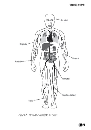 23
Figura 2 - Local de localização de pulso
Capítulo I Geral
 