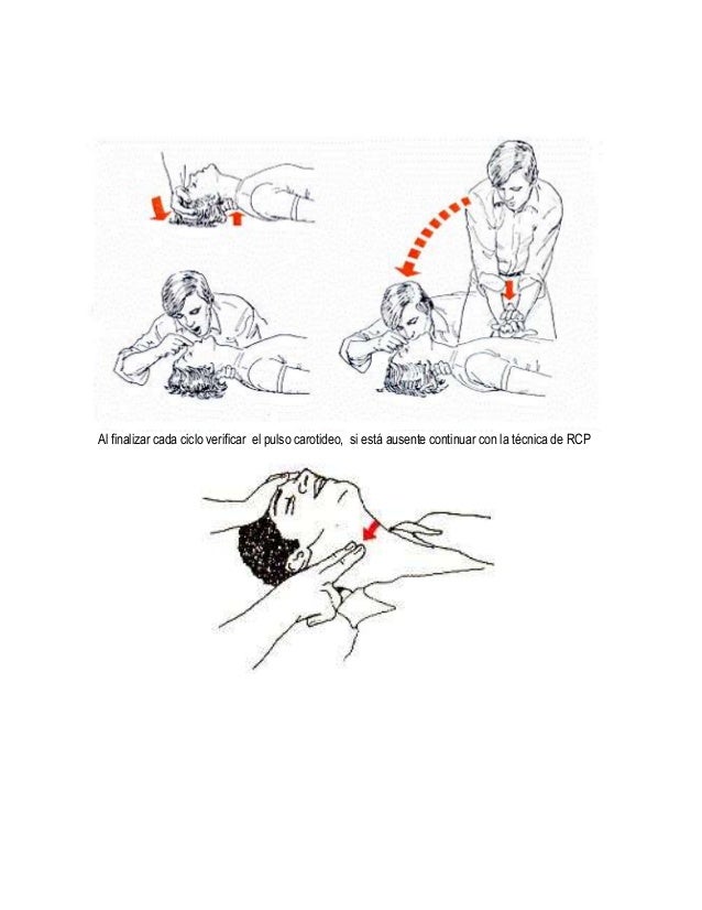 Manual de primeros auxilios