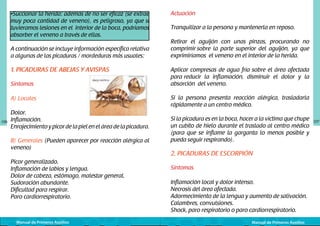 •Succionar la herida: además de no ser eficaz (se extrae
muy poca cantidad de veneno), es peligroso, ya que si
tuvieramos lesiones en el interior de la boca, podríamos
absorber el veneno a través de ellas.
A continuación se incluye información específica relativa
a algunas de las picaduras / mordeduras más usuales:
	
  

1. PICADURAS DE ABEJAS Y AVISPAS
Síntomas
A) Locales

106

Dolor.
Inflamación.
Enrojecimiento y picor de la piel en el área de la picadura.
B) Generales (Pueden aparecer por reacción alérgica al
veneno)
Picor generalizado.
Inflamación de labios y lengua.
Dolor de cabeza, estómago, malestar general.
Sudoración abundante.
Dificultad para respirar.
Paro cardiorrespiratorio.

Manual de Primeros Auxilios

Actuación
Tranquilizar a la persona y mantenerla en reposo.
Retirar el aguijón con unas pinzas, procurando no
comprimir sobre la parte superior del aguijón, ya que
exprimiríamos el veneno en el interior de la herida.
Aplicar compresas de agua fría sobre el área afectada
para reducir la inflamación, disminuir el dolor y la
absorción del veneno.
Si la persona presenta reacción alérgica, trasladarla
rápidamente a un centro médico.
Si la picadura es en la boca, hacer a la víctima que chupe
un cubito de hielo durante el traslado al centro médico
(para que se inflame la garganta lo menos posible y
pueda seguir respirando).

2. PICADURAS DE ESCORPIÓN
Síntomas
Inflamación local y dolor intenso.
Necrosis del área afectada.
Adormecimiento de la lengua y aumento de salivación.
Calambres, convulsiones.
Shock, paro respiratorio o paro cardiorrespiratorio.
Manual de Primeros Auxilios

107

 