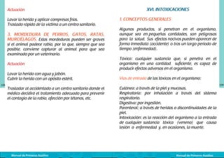 Actuación
Lavar la herida y aplicar compresas frías.
Traslado rápido de la víctima a un centro sanitario.

3. MORDEDURA DE PERROS, GATOS, RATAS,
MURCIÉLAGOS. Estas mordeduras pueden ser graves

si el animal padece rabia, por lo que, siempre que sea
posible, conviene capturar al animal para que sea
examinado por un veterinario.
Actuación
Lavar la herida con agua y jabón.
Cubrir la herida con un apósito estéril.

108

Trasladar al accidentado a un centro sanitario donde el
médico decidirá el tratamiento adecuado para prevenir
el contagio de la rabia, afección por tétanos, etc.

Manual de Primeros Auxilios

XVI. INTOXICACIONES
1. CONCEPTOS GENERALES
Algunos productos, si penetran en el organismo,
aunque sea en pequeñas cantidades, son peligrosos
para la salud. Sus efectos nocivos pueden aparecer de
forma inmediata (accidente) o tras un largo periodo de
tiempo (enfermedad).
Tóxico: cualquier sustancia que, si penetra en el
organismo en una cantidad suficiente, es capaz de
producir efectos adversos en el organismo.
Vías de entrada de los tóxicos en el organismo:
Cutánea: a través de la piel y mucosas.
Respiratoria: por inhalación a través del sistema
respiratorio.
Digestiva: por ingestión.
Parenteral: a través de heridas o discontinuidades de la
piel.
Intoxicación: es la reacción del organismo a la entrada
de cualquier sustancia tóxica (veneno) que causa
lesión o enfermedad y, en ocasiones, la muerte.

Manual de Primeros Auxilios

109

 