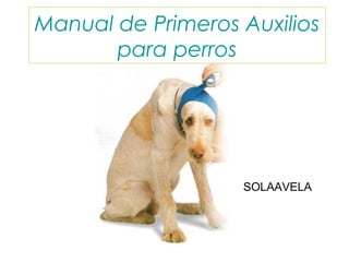 Manual de Primeros Auxilios
para perros
SOLAAVELA
 