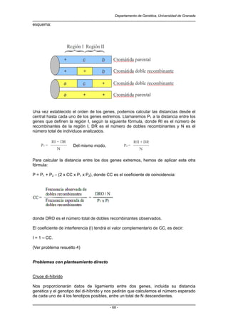 Manual de problemas. Universidad de Granada. | PDF