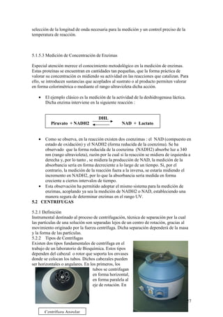 27
selección de la longitud de onda necesaria para la medición y un control preciso de la
temperatura de reacción.
5.1.5.3 Medición de Concentración de Enzimas
Especial atención merece el conocimiento metodológico en la medición de enzimas.
Estas proteínas se encuentran en cantidades tan pequeñas, que la forma práctica de
valorar su concentración es midiendo su actividad en las reacciones que catalizan. Para
ello, se introducen sustancias que acoplados al sustrato o al producto permiten valorar
en forma colorimétrica o mediante el rango ultravioleta dicha acción.
• El ejemplo clásico es la medición de la actividad de la deshidrogenasa láctica.
Dicha enzima interviene en la siguiente reacción :
DHL
Piruvato + NADH2 NAD + Lactato
• Como se observa, en la reacción existen dos coenzimas : el NAD (compuesto en
estado de oxidación) y el NADH2 (forma reducida de la coenzima). Se ha
observado que la forma reducida de la coenzima (NADH2) absorbe luz a 340
nm (rango ultravioleta), razón por la cual si la reacción se midiera de izquierda a
derecha y, por lo tanto , se midiera la producción de NAD, la medición de la
absorbancia sería en forma decreciente a lo largo de un tiempo. Si, por el
contrario, la medición de la reacción fuera a la inversa, se estaría midiendo el
incremento en NADH2, por lo que la absorbancia sería medida en forma
creciente a ciertos intervalos de tiempo.
• Esta observación ha permitido adoptar el mismo sistema para la medición de
enzimas, acoplando ya sea la medición de NADH2 o NAD, estableciendo una
manera segura de determinar enzimas en el rango UV.
5.2 CENTRIFUGAS
5.2.1 Definición
Instrumental destinado al proceso de centrifugación, técnica de separación por la cual
las partículas de una solución son separadas lejos de un centro de rotación, gracias al
movimiento originado por la fuerza centrífuga. Dicha separación dependerá de la masa
y la forma de las partículas.
5.2.2 Tipos de Centrífugas
Existen dos tipos fundamentales de centrífuga en el
trabajo de un laboratorio de Bioquímica. Estos tipos
dependen del cabezal o rotor que soporta los envases
donde se colocan los tubos. Dichos cabezales pueden
ser horizontales o angulares. En los primeros, los
tubos se centrifugan
en forma horizontal,
en forma paralela al
eje de rotación. En
Centrífuga Angular
 