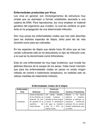 103
Enfermedades producidas por Virus.
Los virus en general, son microorganismos de estructura muy
simple que se asemejan a formas cristaloides asociada a una
cadena de DNA. Para reproducirse, los virus emplean el material
genético del organismo que invaden, lo cual les confiere un gran
éxito en la propagación de una determinada infección.
Son muy pocas las enfermedades virales que han sido descritas
para las distintas especies de tilapia, tanto para las de vida
silvestre como para las cultivadas.
En las especies de tilapia que desde hace 50 años que se han
venido cultivando sólo se ha descubierto un tipo de infección viral,
a la cual se ha denominado como linfocistosis.
Esta es una enfermedad de muy baja incidencia, que invade los
glóbulos blancos de la sangre de los peces. Cabe hacer mención
que para las enfermedades virales en peces no existe ningún
método de control o tratamiento terapéutico, en realidad solo se
utilizan medidas de tratamiento indirecto.
Enfermedades virales de la tilapia
Enfermedad
Viral Síntomas
Causa y/o
Prevención Control o Tratamiento
Linfocitosis
Causa la alteración
de los linfocitos; se
transmite vía oral.
Se presenta en la
superficie del
cuerpo del pez.
Las células dañadas,
pueden romperse y
transferir el virus al agua.
Cuando la temperatura
del agua se mantiene
entre 23 y 25°C, se
replica el virus.
Detectar a los peces
enfermos y matarlos.
Mantener el estanque en
excelentes condiciones
sanitarias. No se conocen
medidas terapéuticas para
su control.
 
