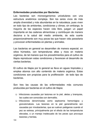 104
Enfermedades producidas por Bacterias.
Las bacterias son microorganismos unicelulares con una
estructura anatómica compleja. Son los seres vivos de más
amplia diversidad y más abundantes en la naturaleza, pues viven
en todo tipo de ambientes, condiciones y climas; sin embargo, la
mayoría de las especies hacen vida libre, juegan un papel
importante en las cadenas alimenticias y contribuyen de manera
decisiva a la salud del medio ambiente, de esta suerte
proporcionalmente son muy pocas las que hacen vida parasitaria
y provocan enfermedades en plantas y animales.
Las bacterias en general se desarrollan de manera especial, en
sitios húmedos, con temperaturas altas y ricos en materia
orgánica, de tal manera que los procedimientos para el cultivo de
tilapia reproducen estas condiciones y favorecen el desarrollo de
ciertas bacterias.
El cultivo de tilapia por lo general se lleva en aguas tropicales y
emplea abonos con alto contenido de materia orgánica. Estas
condiciones son propicias para la proliferación de todo tipo de
bacterias.
Son tres las causas de las enfermedades más comunes
producidas por bacterias en el cultivo de tilapia:
ü Infecciones causadas por lesiones en la piel, aletas y branquias,
las cuales son conocidas con dermatitis.
ü Infecciones denominadas como septicemia hemorrágica y
granulomatosis. Las lesiones en la piel generalmente son
causadas por mixobacterias, que se vuelven patógenas cuando el
pez se estresa, principalmente por el efecto de las temperaturas
elevadas, o un manejo inadecuado de los peces que provoque
lesiones y heridas.
 